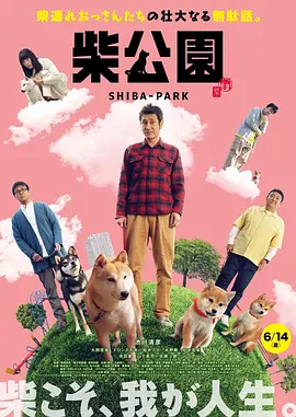 日韩激情视频在线